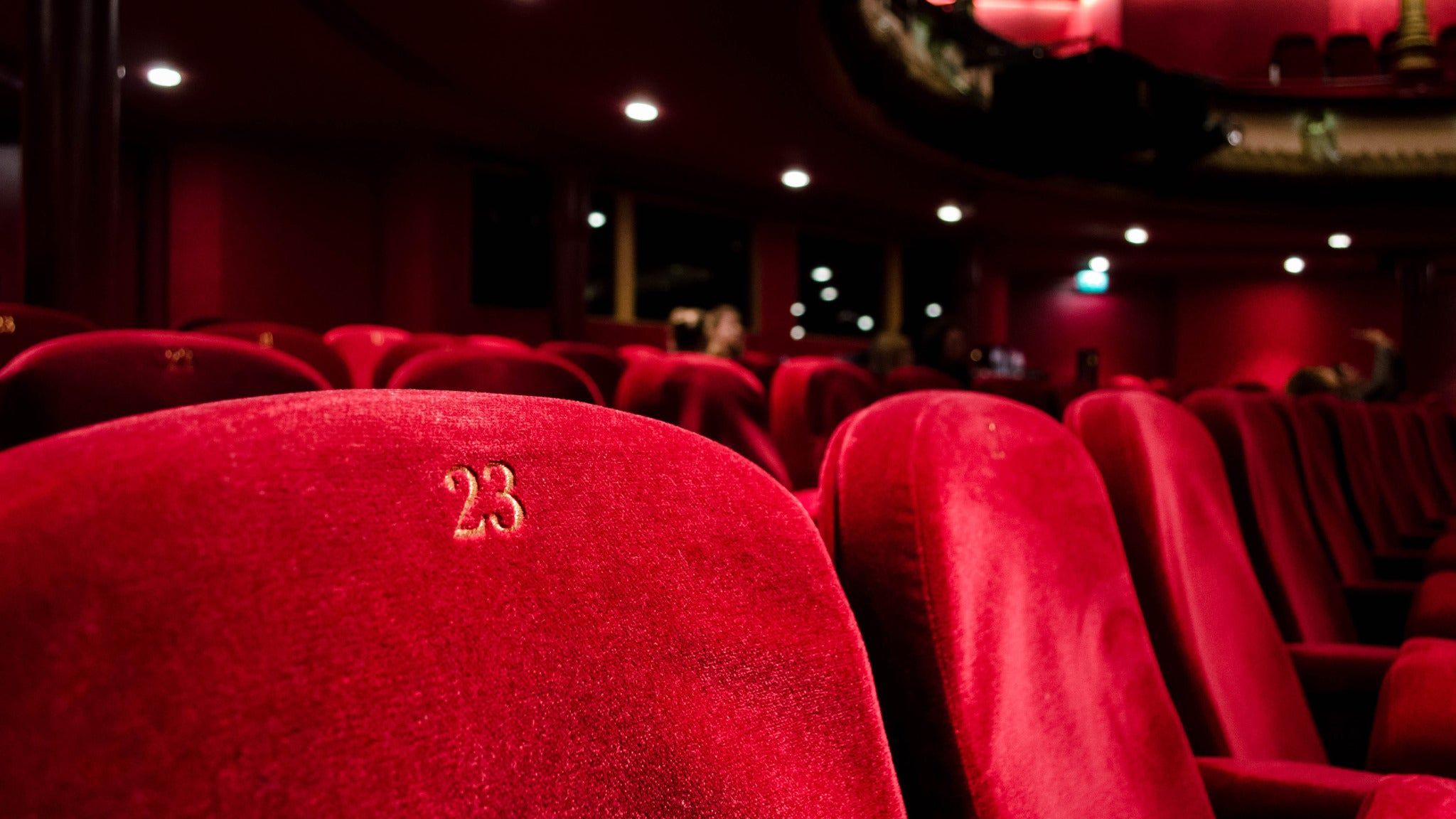 Toque Chef at Theatre a L'Ouest