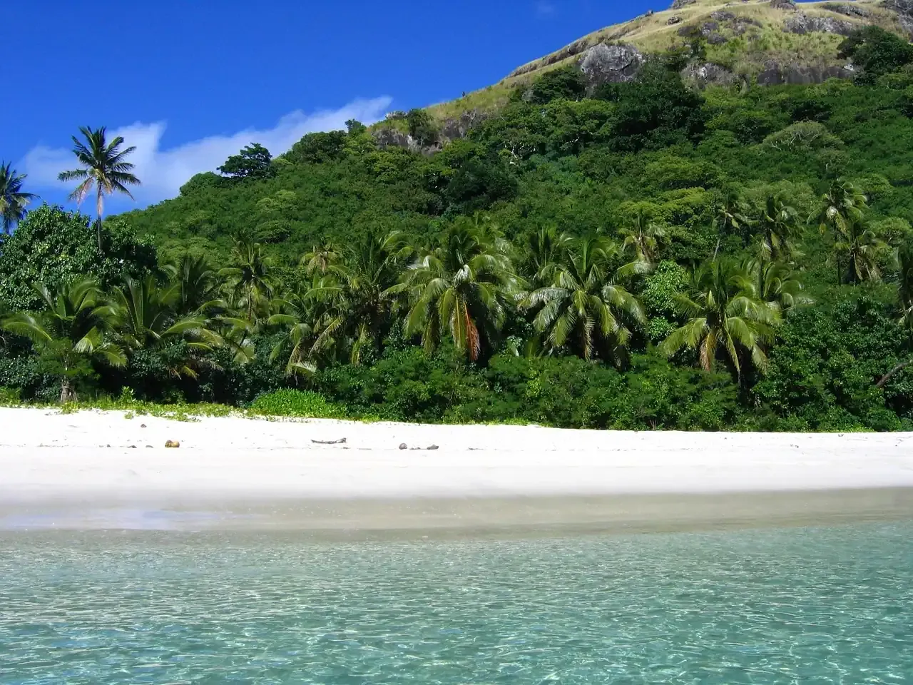 A white sand beach and palms on an island in Fiji